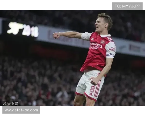 厄德高关键战表现稳定性解析